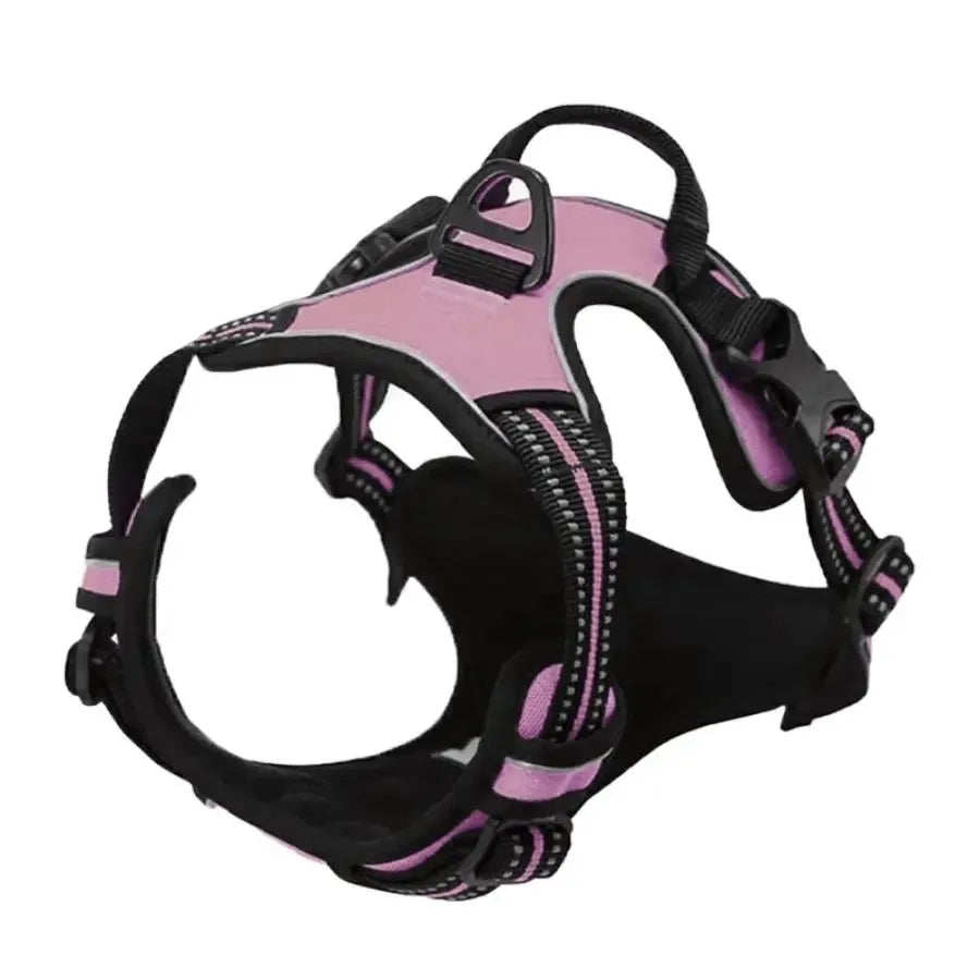 Dog Collar, Harness & Leash Set – Leather Puppy Accessories