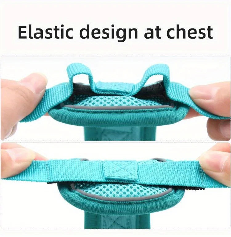 No-Pull Adjustable Dog & Cat Harness with Leash