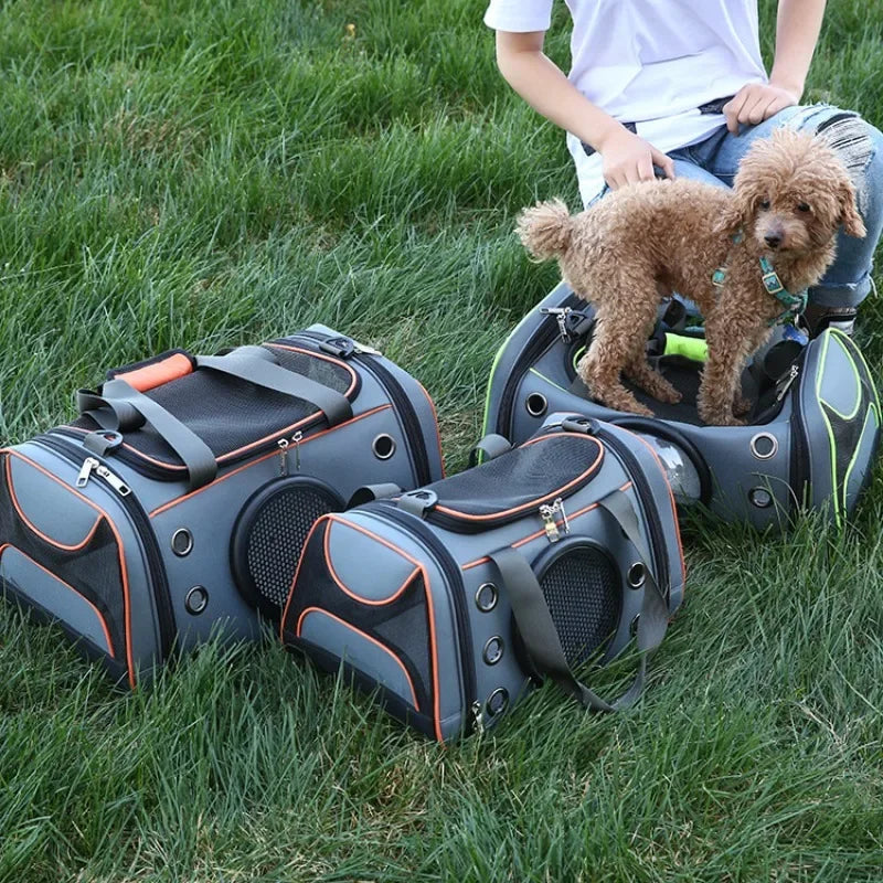 Portable Dog & Cat Carrier Bag