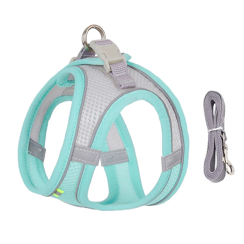 Adjustable Dog & Cat Harness with Leash – Small Breeds