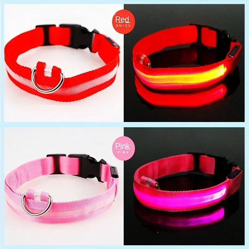LED Glowing Dog Collar – Adjustable Rechargeable Night Safety Light