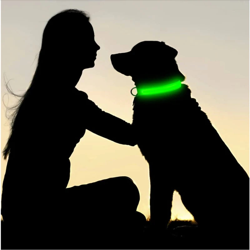 Keep Your Pet Safe at Night – 3-Mode USB LED Glow Collar for Dogs & Cats