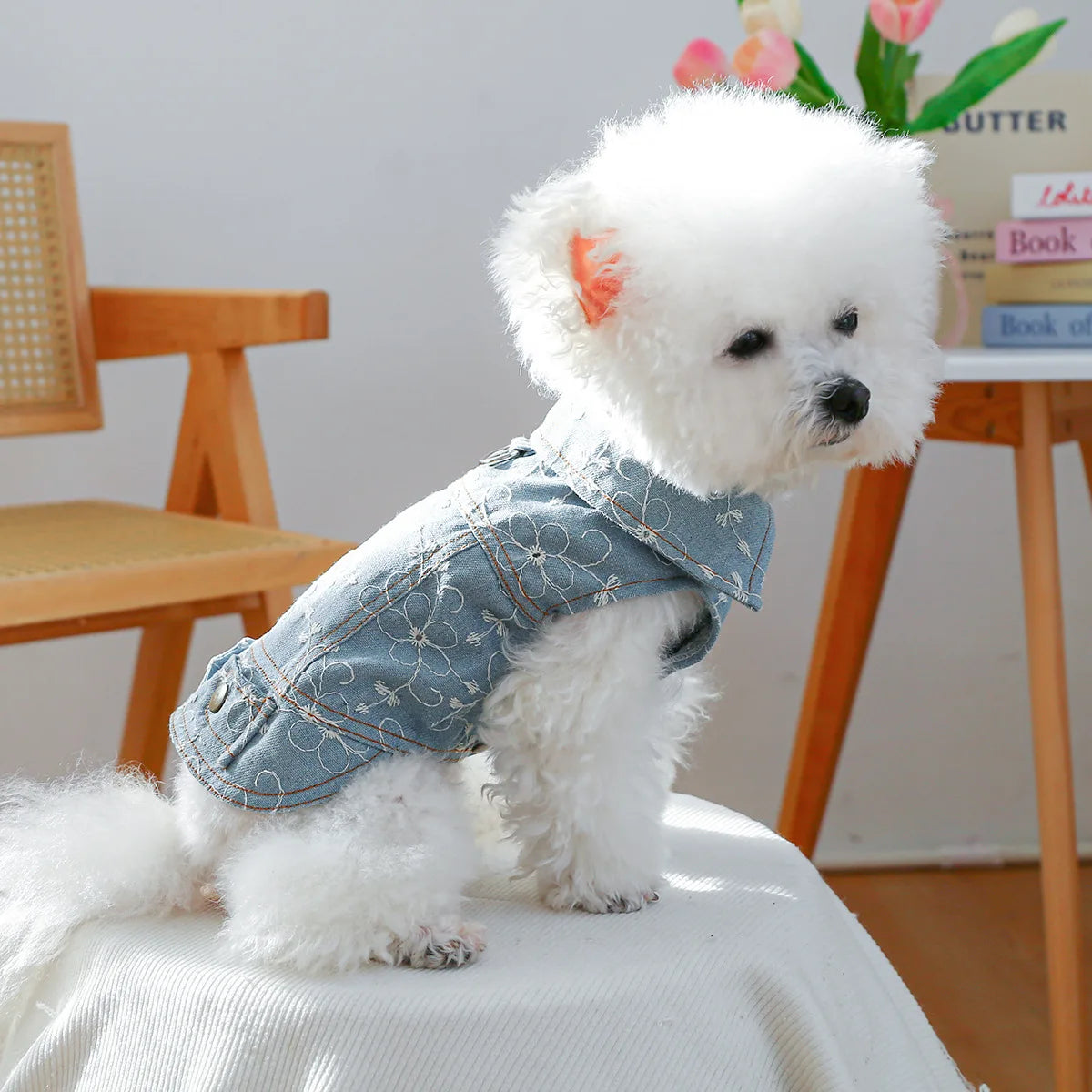 Denim Doggie Jacket – Stylish Sleeveless Jean Vest for Pets