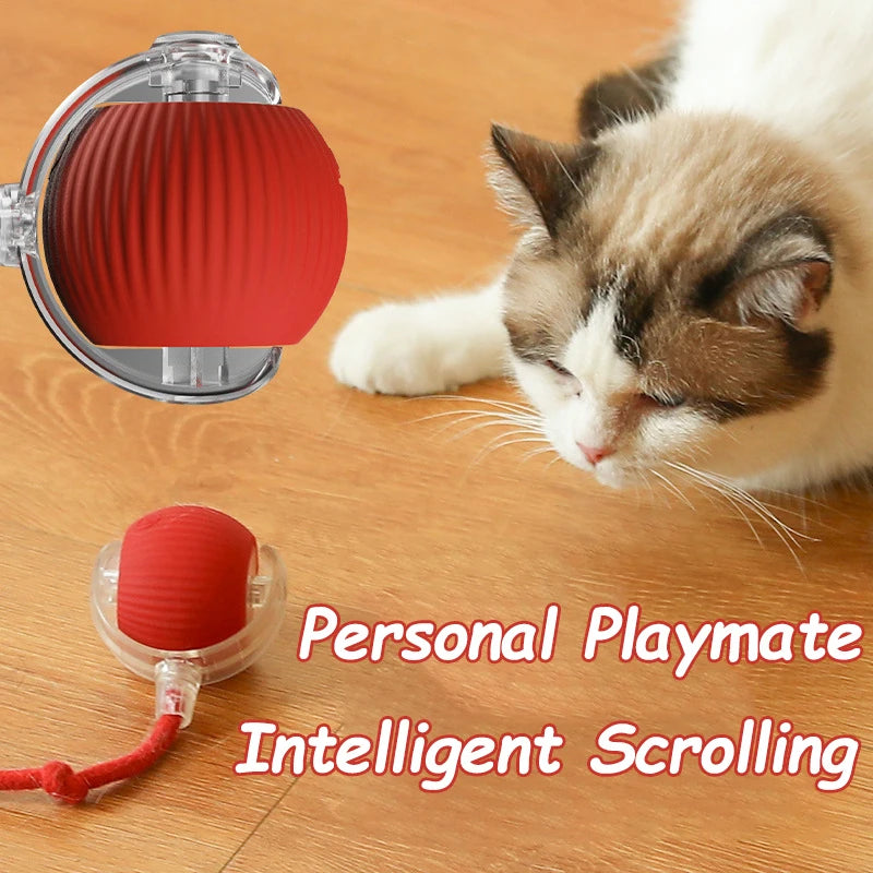 Automatic Rolling Cat & Dog Ball Toy