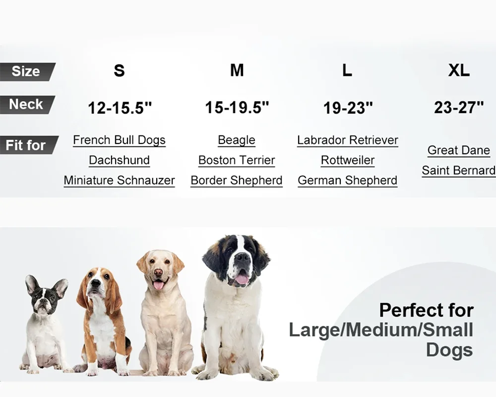Padded Reflective Dog Collar – Heavy Duty Adjustable