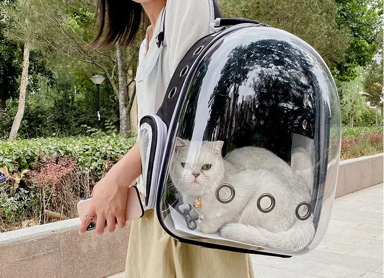 Transparent Space Capsule Pet Backpack