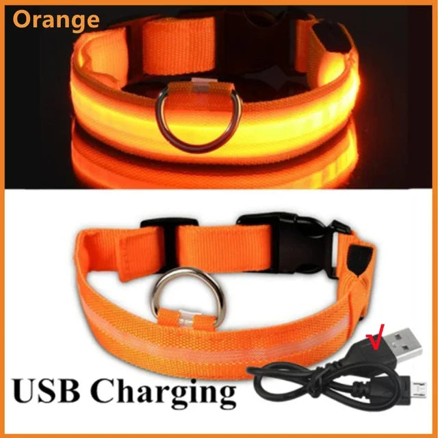 LED Glowing Dog Collar – Adjustable Rechargeable Night Safety Light