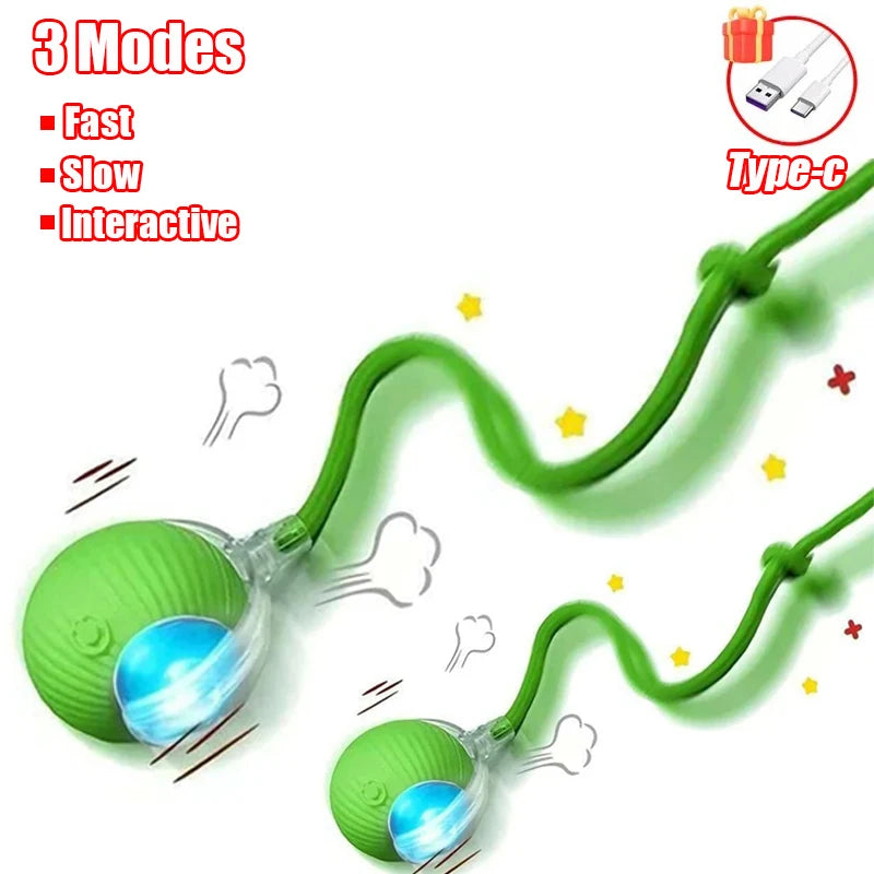 Automatic Rolling Cat & Dog Ball Toy
