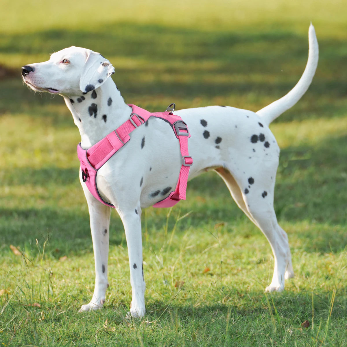H-Type No-Pull Dog Harness – Adjustable Reflective Vest