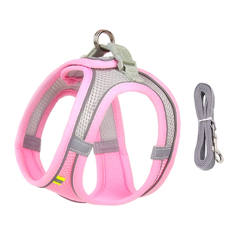 Adjustable Dog & Cat Harness with Leash – Small Breeds
