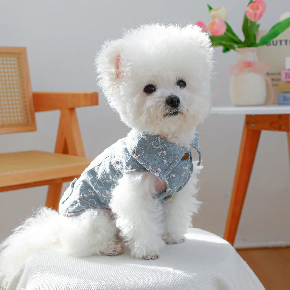 Denim Doggie Jacket – Stylish Sleeveless Jean Vest for Pets