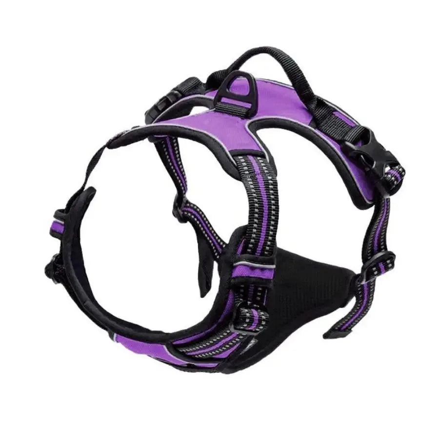 Dog Collar, Harness & Leash Set – Leather Puppy Accessories