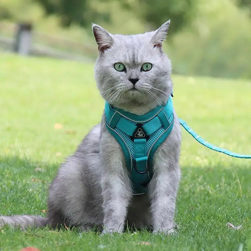 No-Pull Adjustable Dog & Cat Harness with Leash
