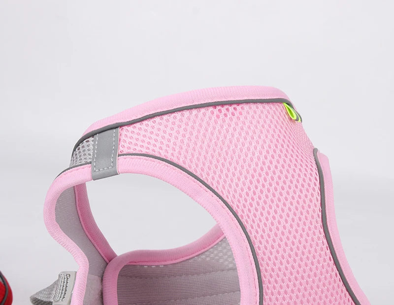Adjustable Dog & Cat Harness with Leash – Small Breeds
