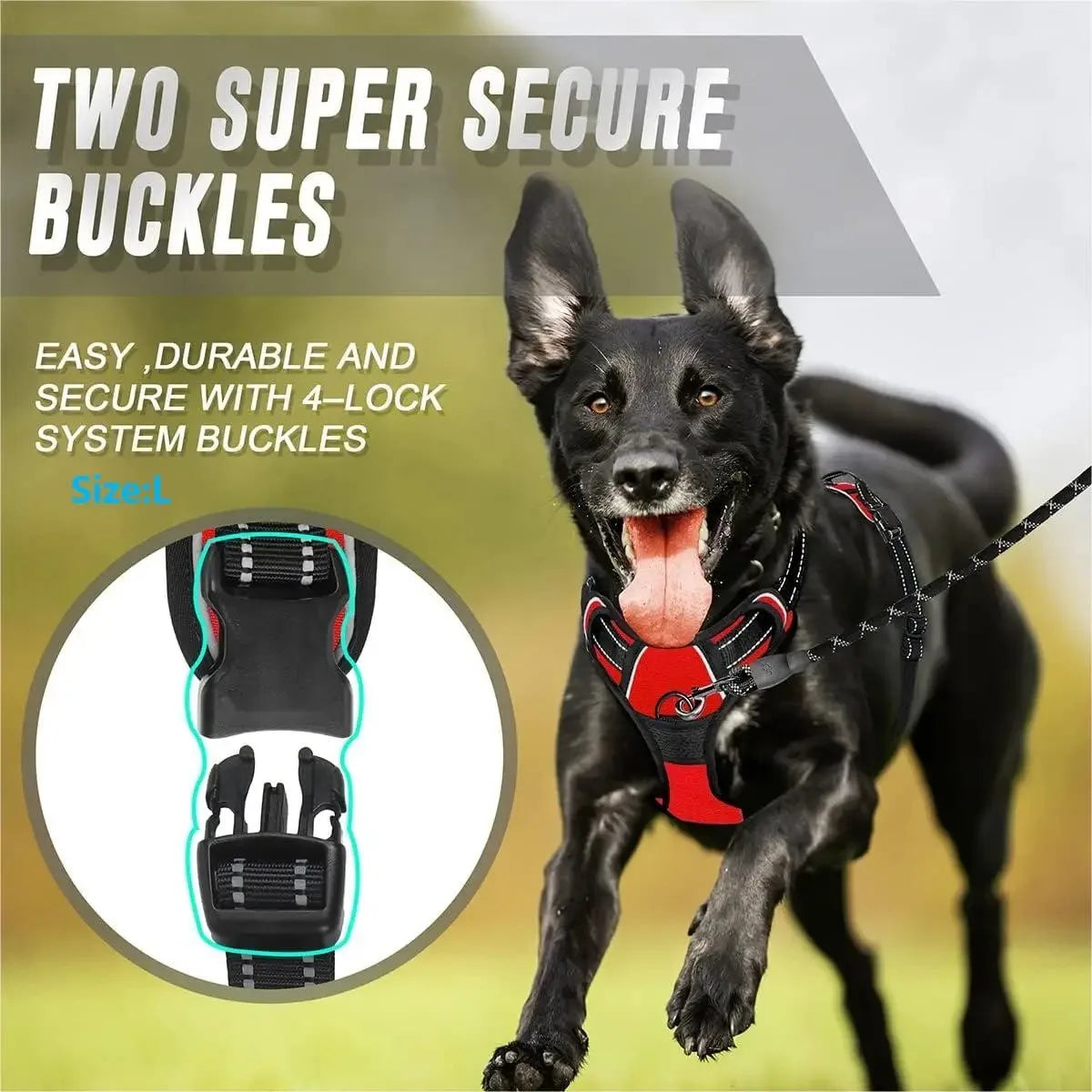 Dog Collar, Harness & Leash Set – Leather Puppy Accessories