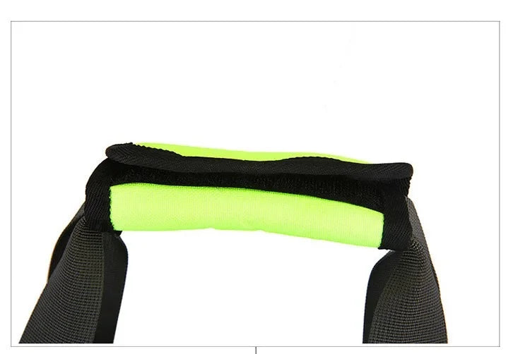 Portable Dog & Cat Carrier Bag