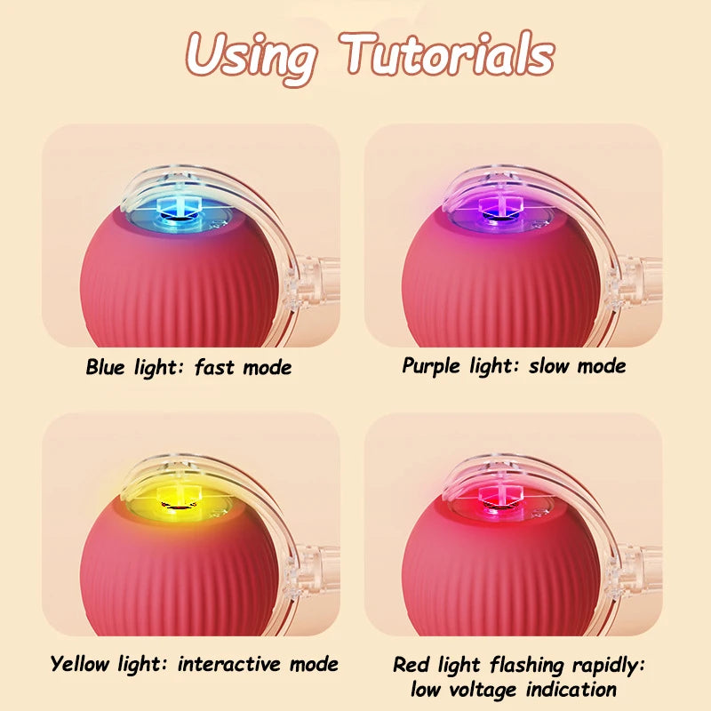 Automatic Rolling Cat & Dog Ball Toy