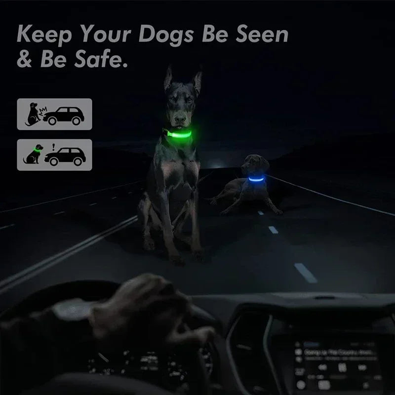 LED Glowing Dog Collar – Adjustable Rechargeable Night Safety Light