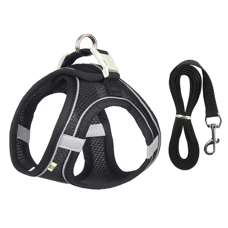 Adjustable Dog & Cat Harness with Leash – Small Breeds