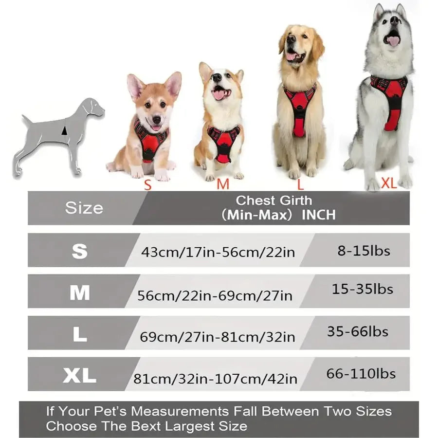 Dog Collar, Harness & Leash Set – Leather Puppy Accessories