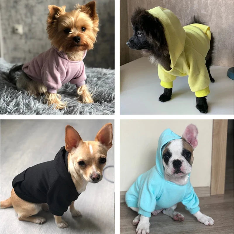 Autumn/Winter Dog Hoodie – Soft Pocket Sweater for Small Dogs