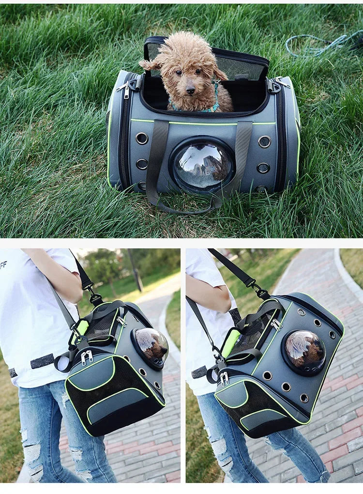 Portable Dog & Cat Carrier Bag