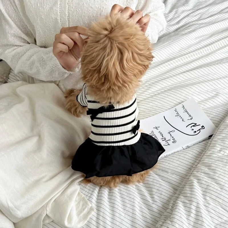 Summer Striped Dog Dress