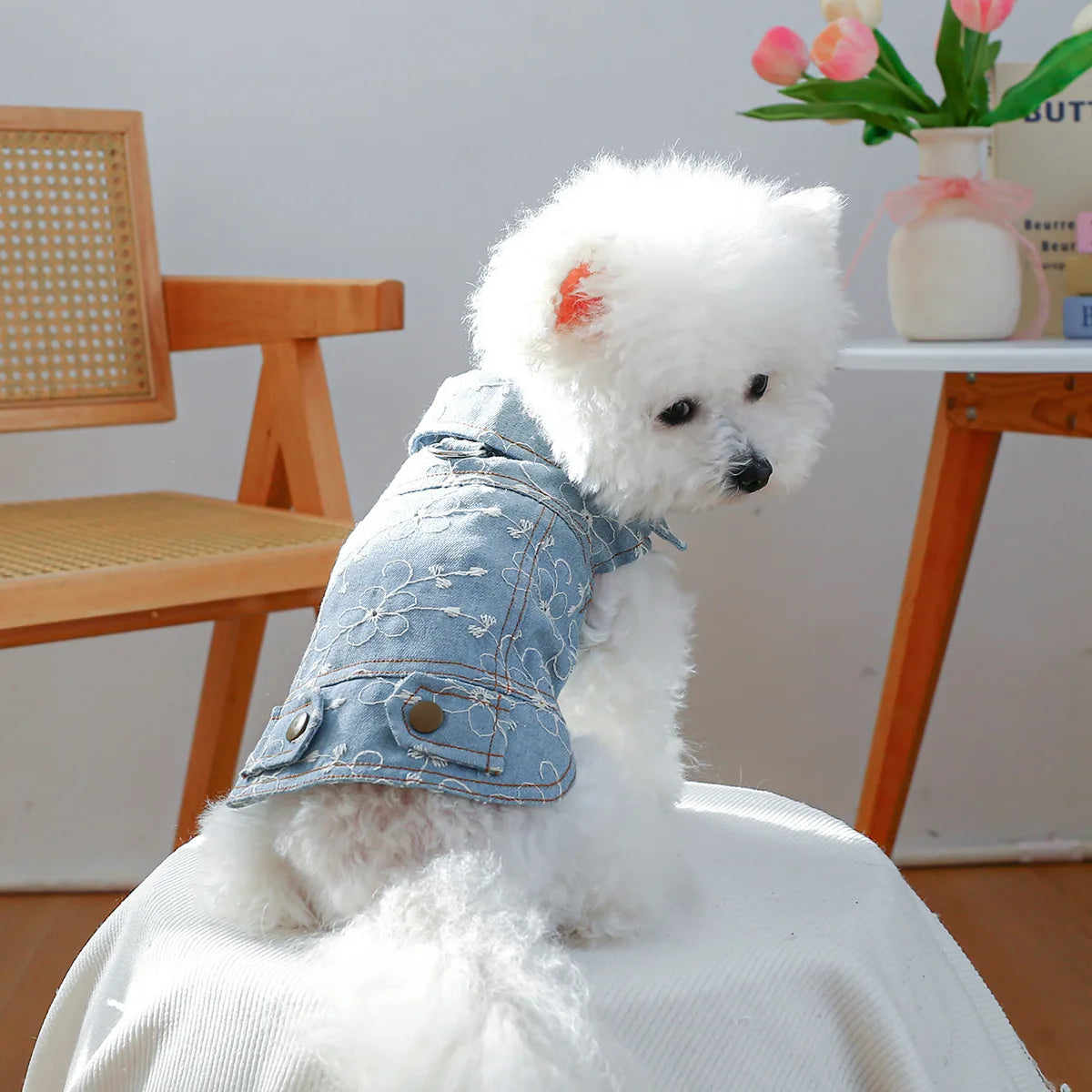 Denim Doggie Jacket – Stylish Sleeveless Jean Vest for Pets