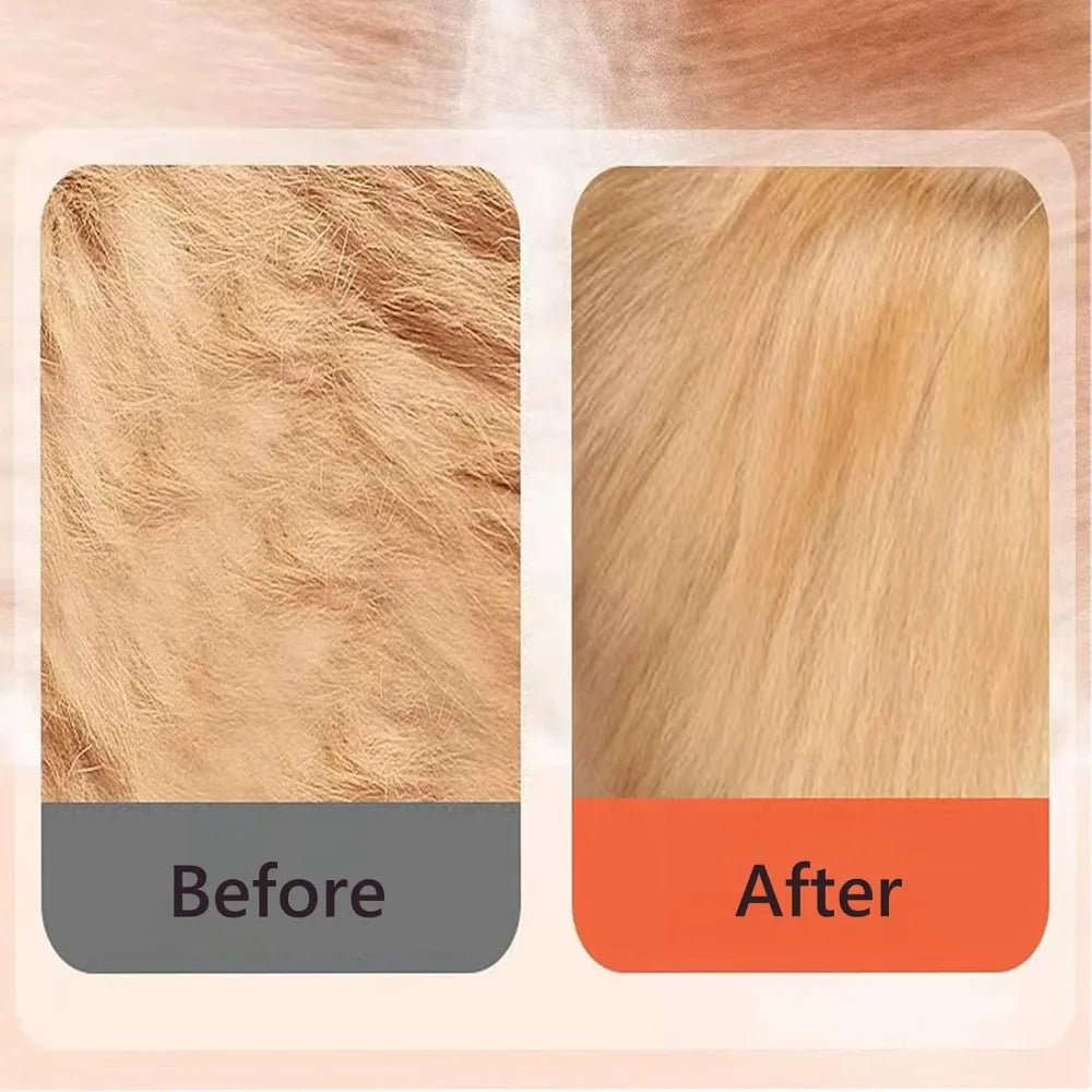 Gentle Pet Shampoo – Odor-Removing Body Wash for Dogs & Cats (228ml)