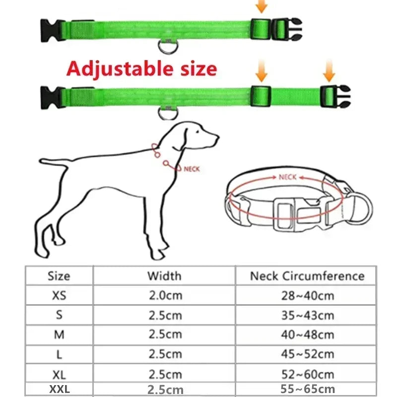 LED Glowing Dog Collar – Adjustable Rechargeable Night Safety Light
