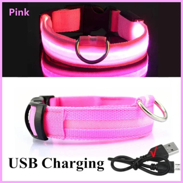 LED Glowing Dog Collar – Adjustable Rechargeable Night Safety Light