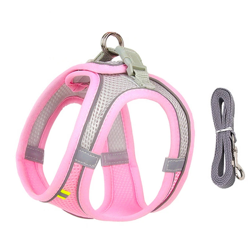 Adjustable Dog & Cat Harness with Leash – Small Breeds