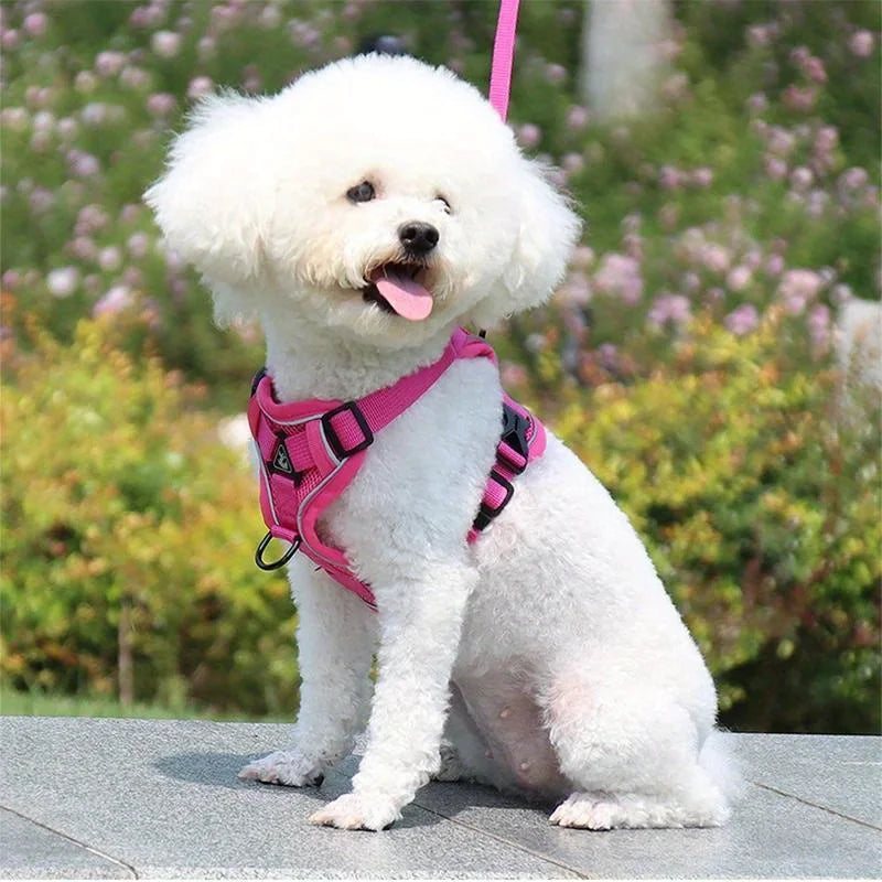 No-Pull Adjustable Dog & Cat Harness with Leash