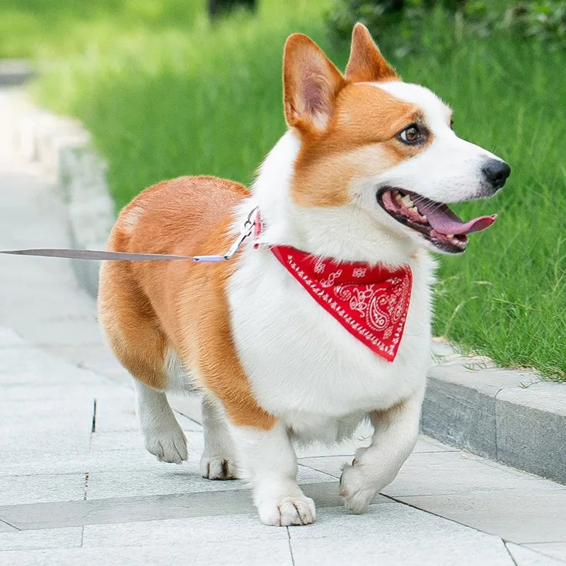 PU Pet Collar with Scarf – Adjustable for Small & Medium Dogs