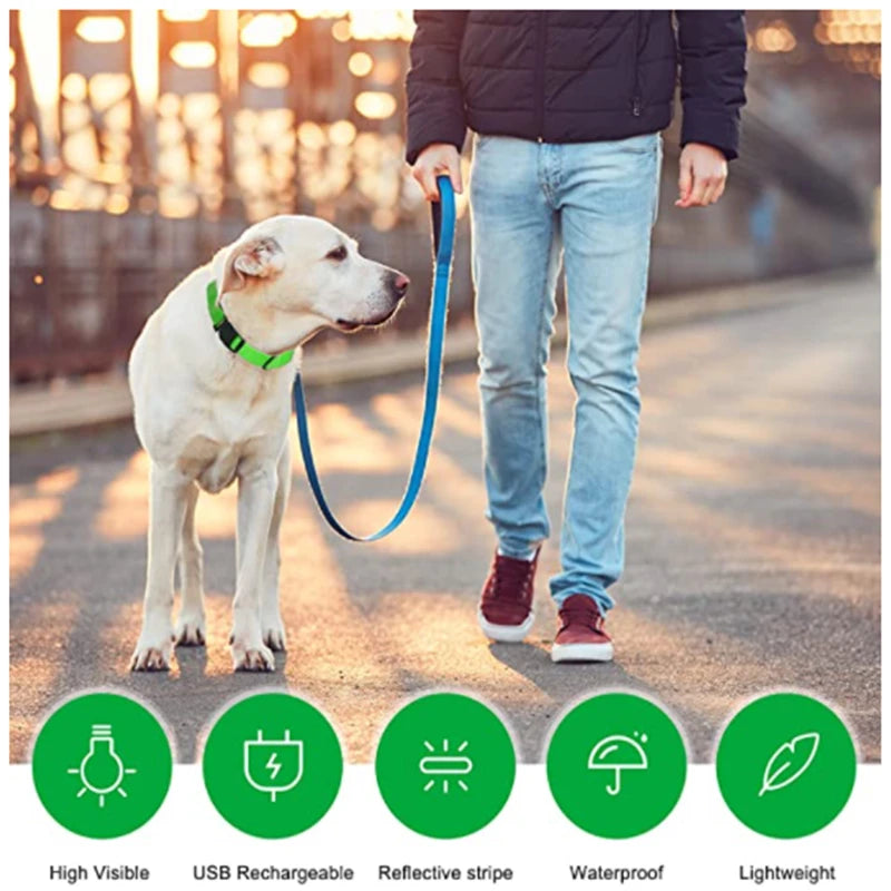 Keep Your Pet Safe at Night – 3-Mode USB LED Glow Collar for Dogs & Cats