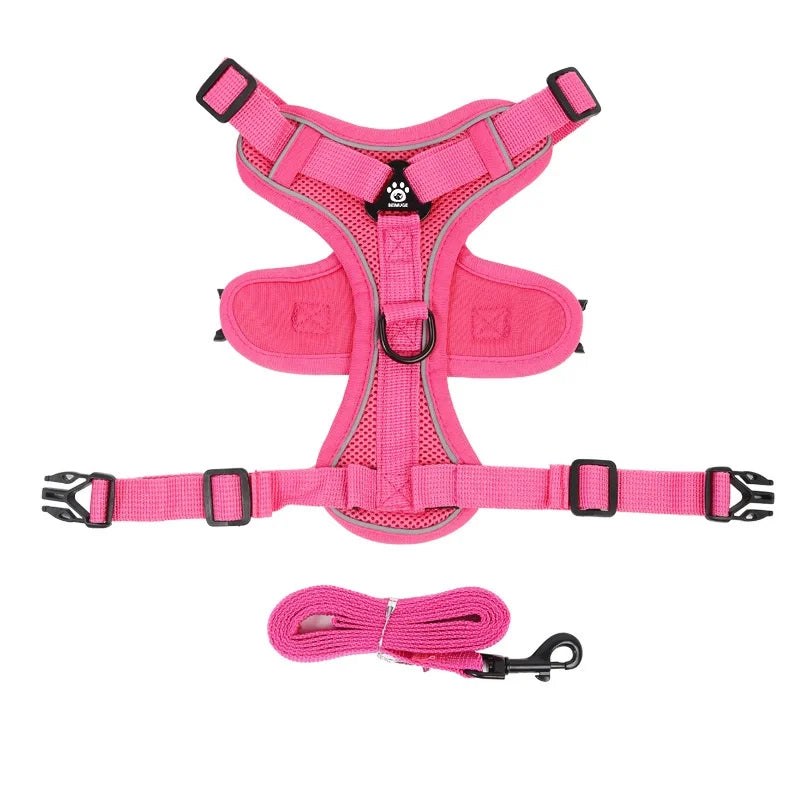 No-Pull Adjustable Dog & Cat Harness with Leash