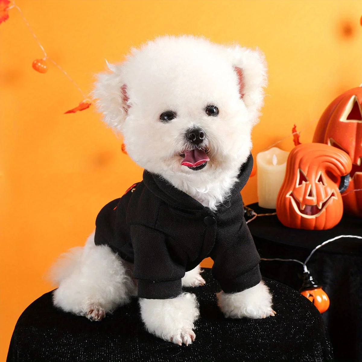Thriller Season Halloween Pet Hoodie – Black Embroidered Dog & Cat Sweater with Buttons and Leash Hole