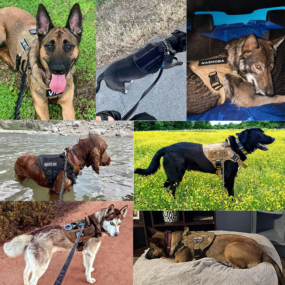 Large Dog Harness & Leash Set – Training Vest for Medium & Large Dogs