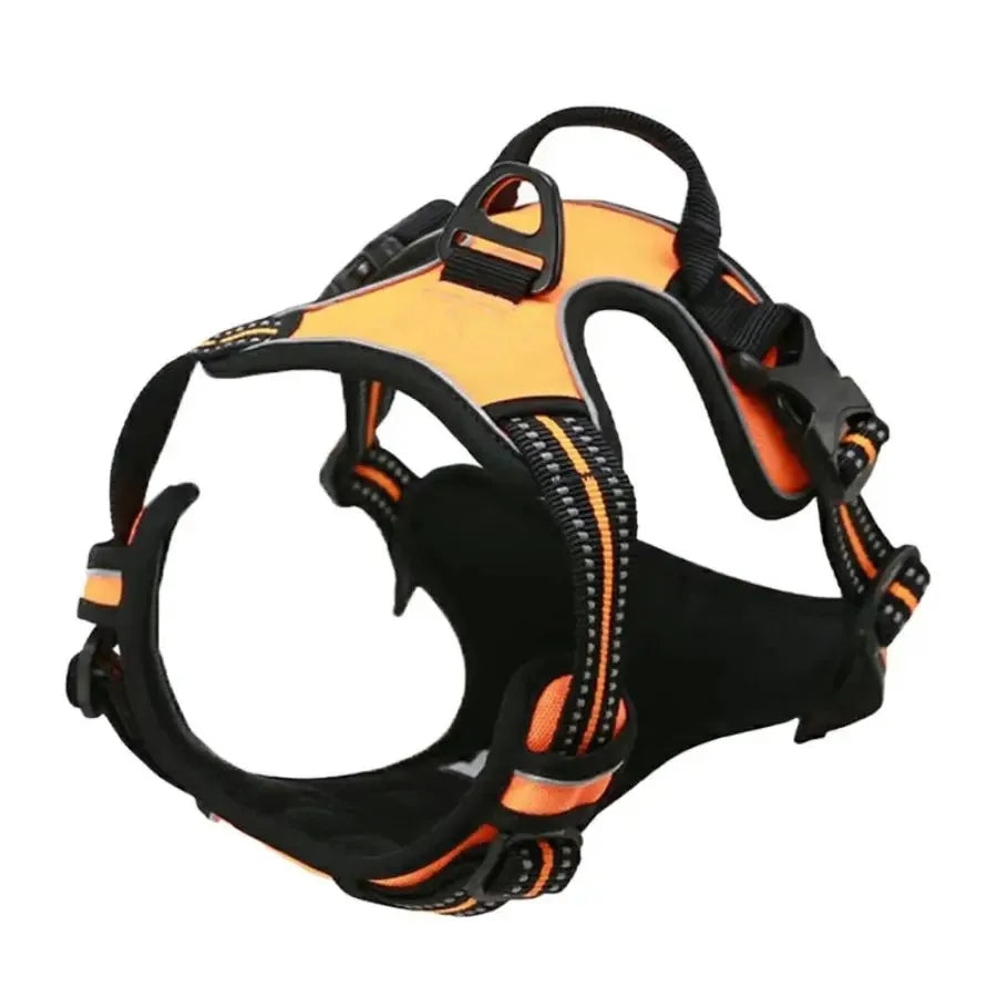 Dog Collar, Harness & Leash Set – Leather Puppy Accessories