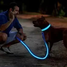 LED Glowing Dog Collar – Adjustable Rechargeable Night Safety Light