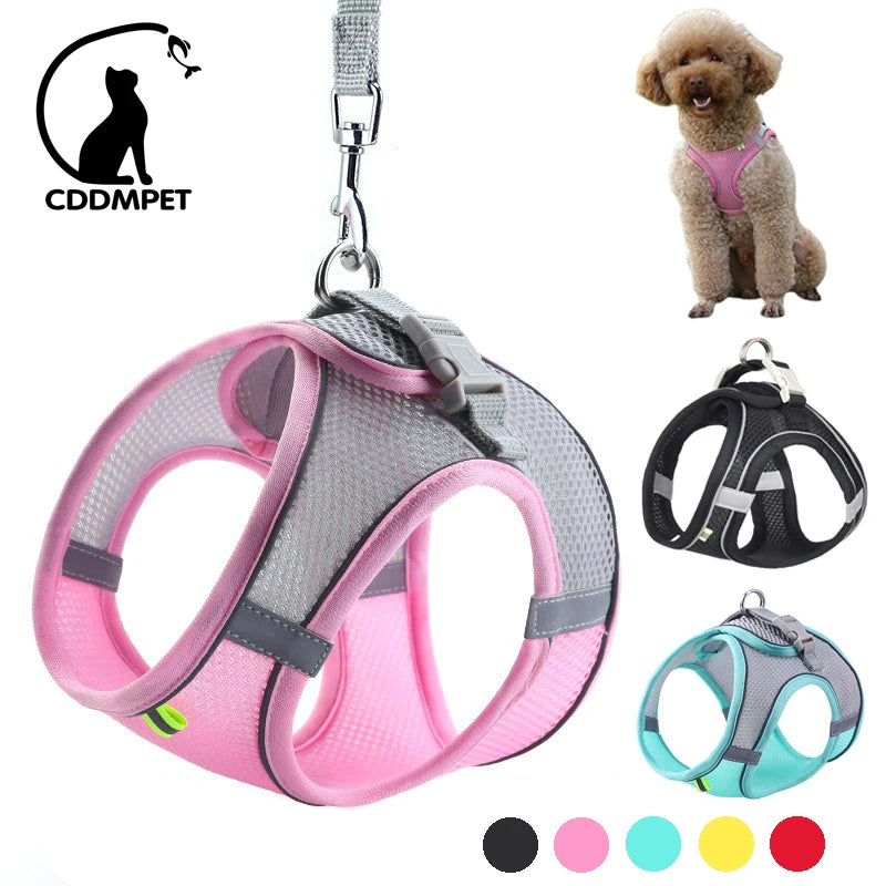 Adjustable Dog & Cat Harness with Leash – Small Breeds