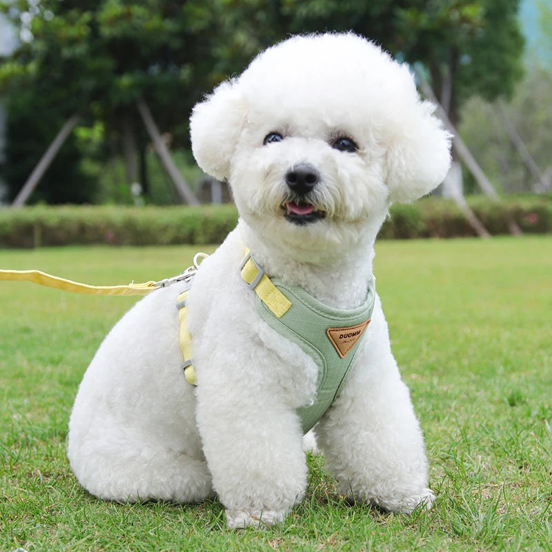 Puppy & Small Dog Harness with Leash – Breathable Vest