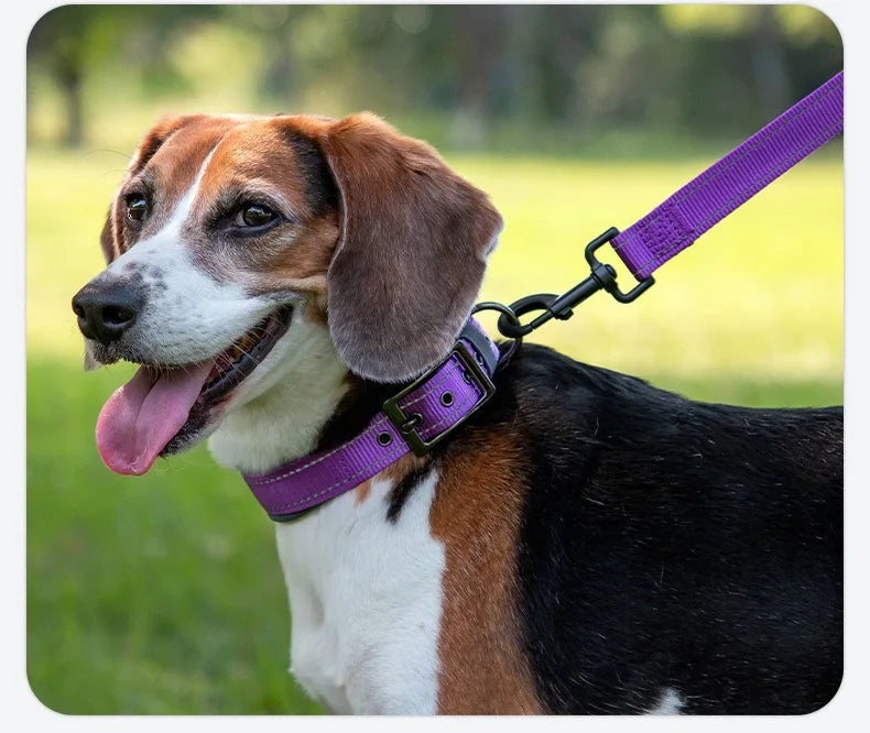 Padded Reflective Dog Collar – Heavy Duty Adjustable
