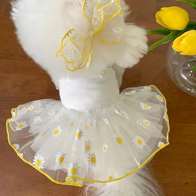 Summer Strawberry Mesh Dress – Dog & Cat Pet Clothing