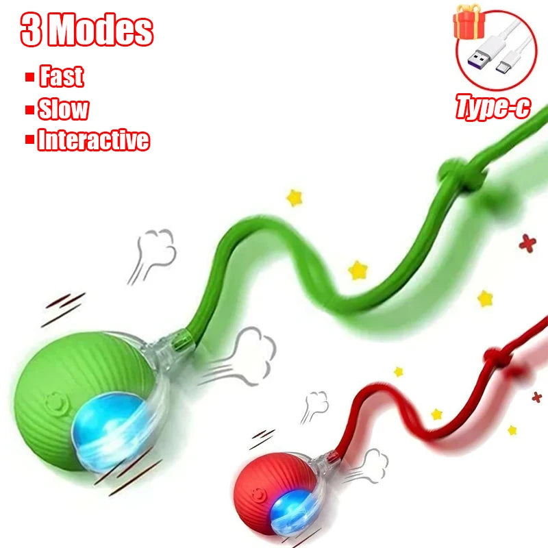 Automatic Rolling Cat & Dog Ball Toy