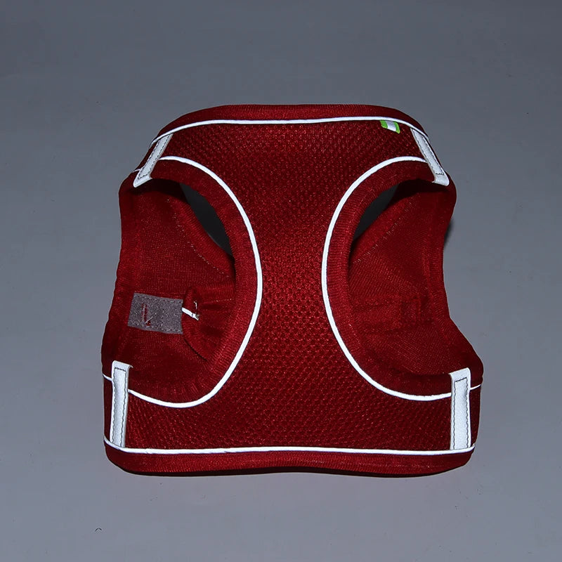 Adjustable Dog & Cat Harness with Leash – Small Breeds