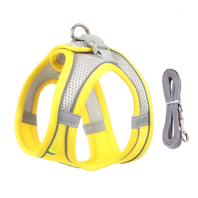 Adjustable Dog & Cat Harness with Leash – Small Breeds