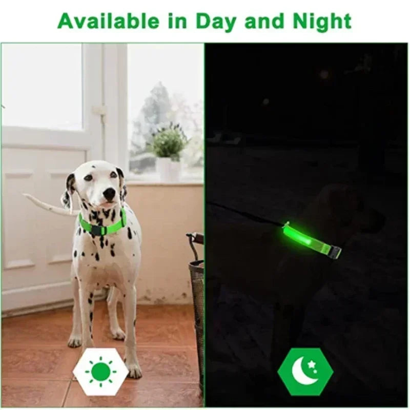 LED Glowing Dog Collar – Adjustable Rechargeable Night Safety Light