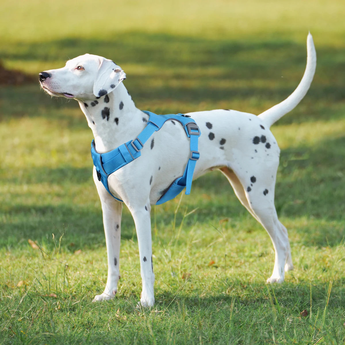 H-Type No-Pull Dog Harness – Adjustable Reflective Vest