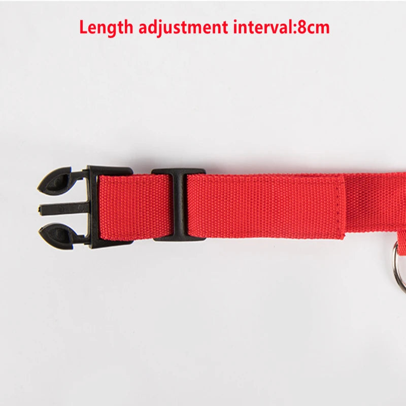 Keep Your Pet Safe at Night – 3-Mode USB LED Glow Collar for Dogs & Cats